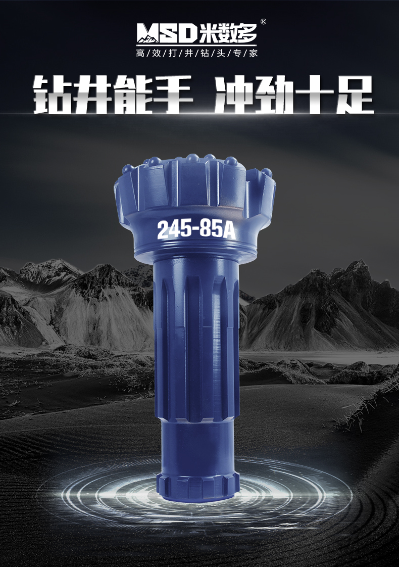 1585808852525795.jpg 245-85A_01.jpg